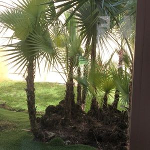 Meet your Posher, Marilyn